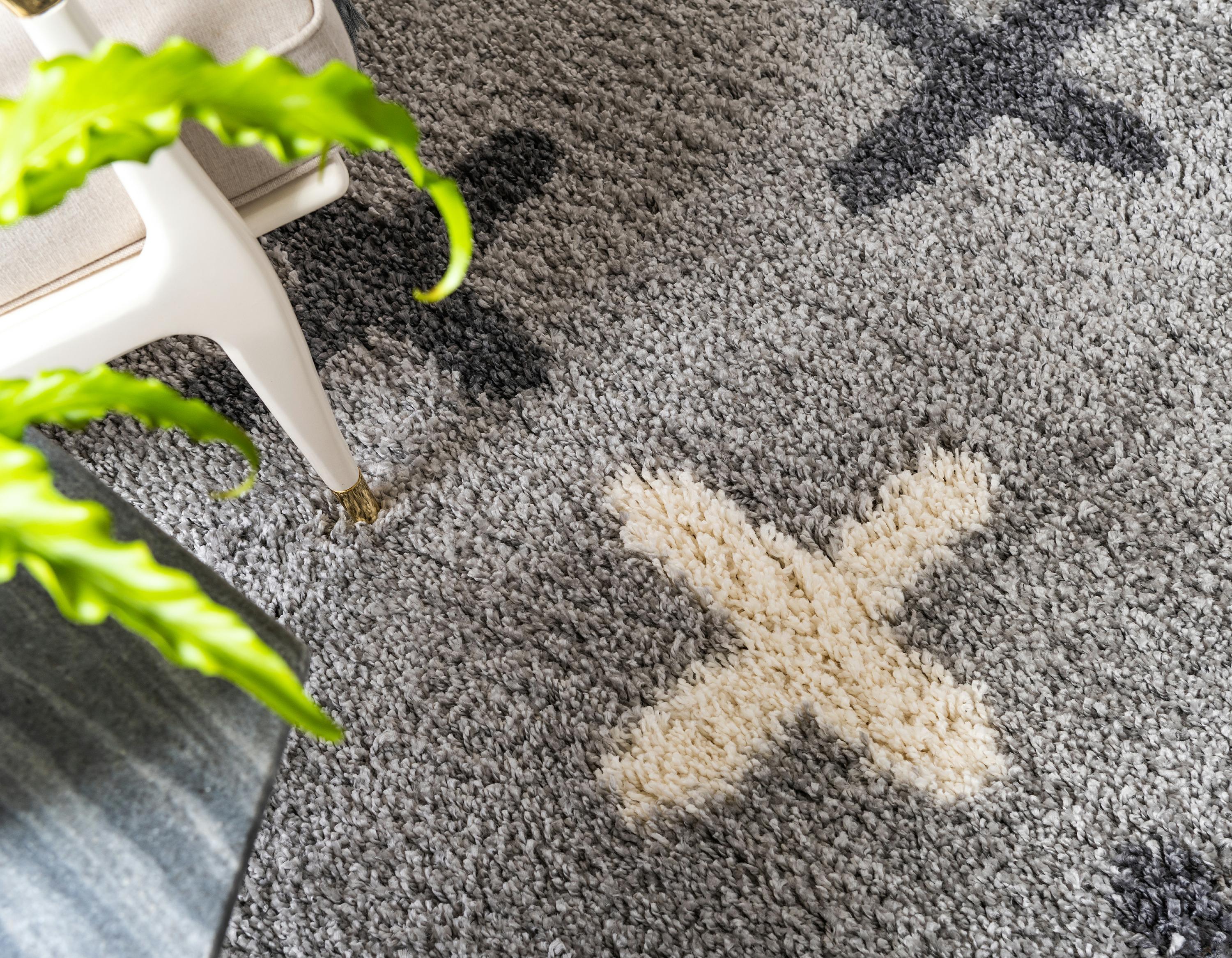 Coleman - Moderner Nordischer Shaggy-Teppich